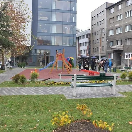 Festival Sarajevo